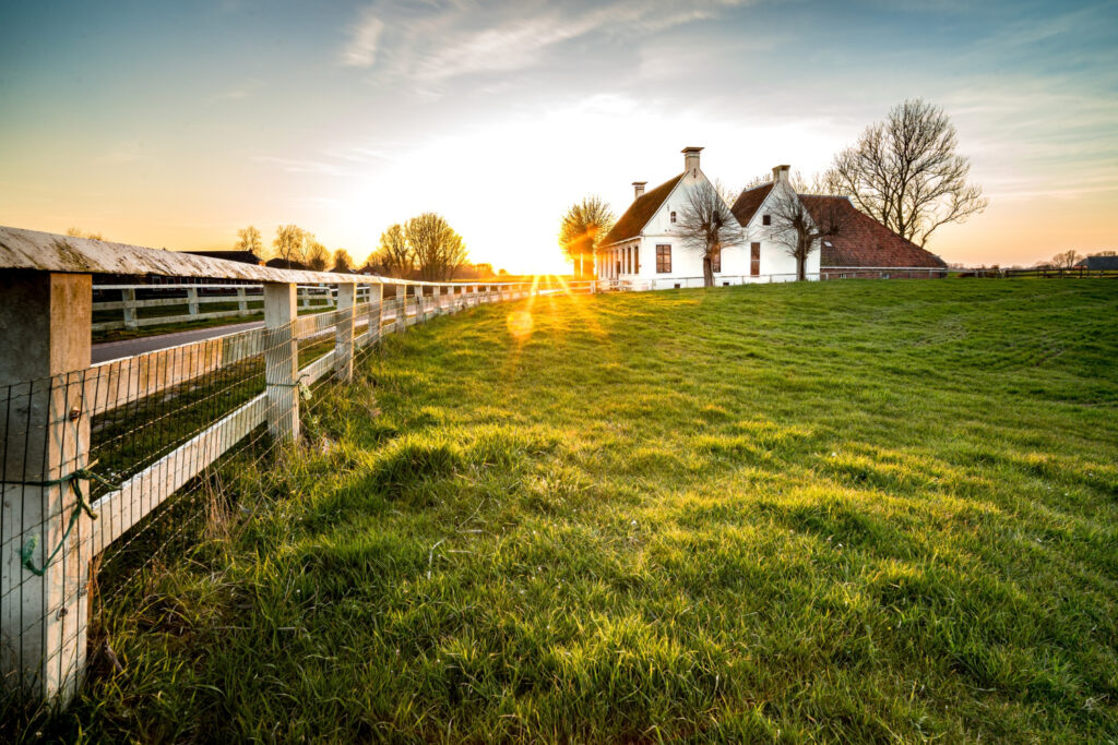 The Ultimate Guide to Mosquito Management on the Farm