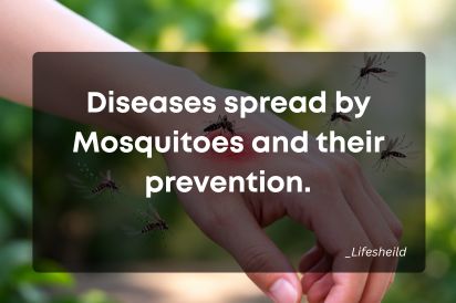 Diseases spread by Mosquitoes and their prevention