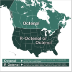 octenol product 1 (2)