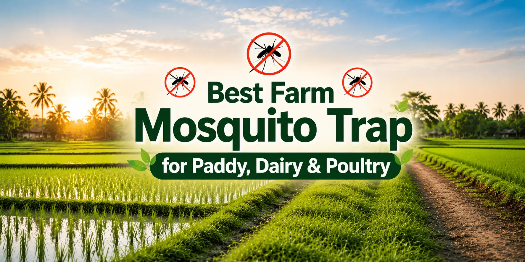 Best Farm Mosquito Trap for Paddy, Dairy & Poultry