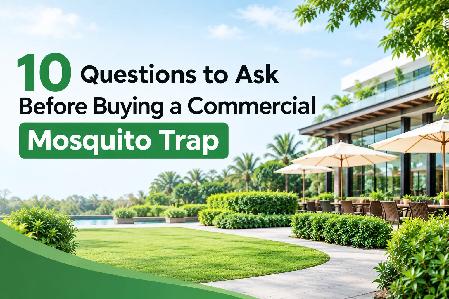 10 Questions Before Buying a Commercial Mosquito Trap